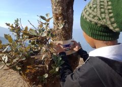 ေတာင္ဇလပ္ပန္း ထိန္းသိမ္းကာကြယ္တန္ဖုိးထားတတ္ေစေရးလႈပ္ရွားမႈျပဳလုပ္