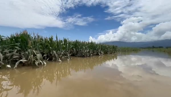 ရွှေလီမြစ်ရေ မြင့်တက်မှုကြောင့် နမ့်ခမ်းက ကျေးရွာတချို့ ရေကြီးရေလျှံမှု ဖြစ်ပြီး စိုက်ခင်းတွေ ပျက်စီး