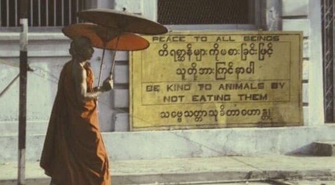 တချိန်က ဆိုင်းဘုတ်ဝါလေးတွေ