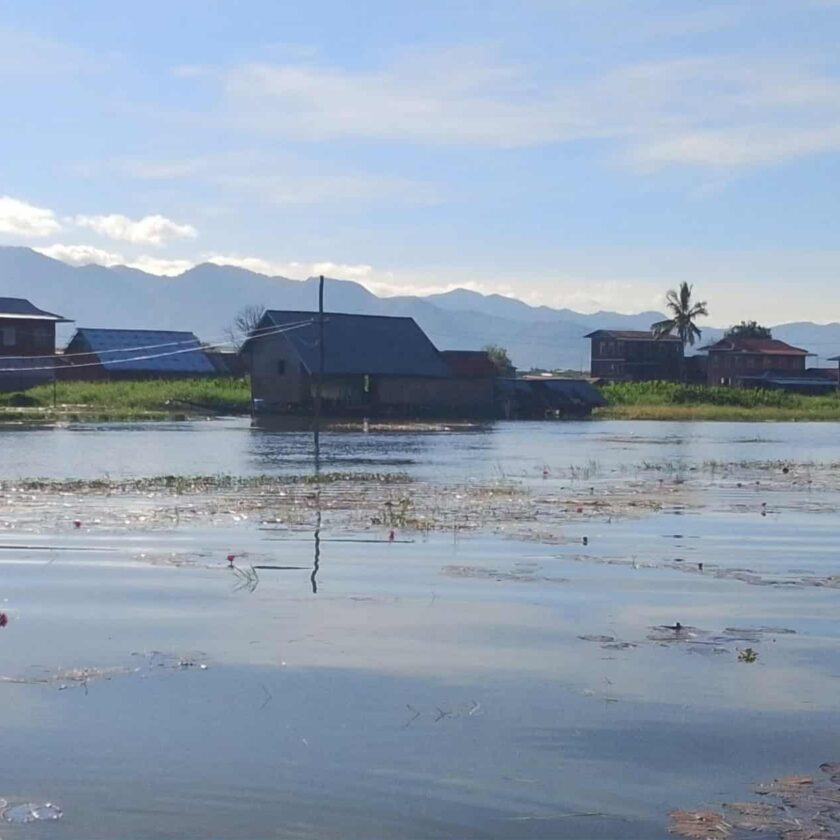 အင်းလေးဒေသက စပါးခင်း ၉၀ ရာခိုင်နှုန်းလောက် ရေမြုပ်ပျက်စီးနေ