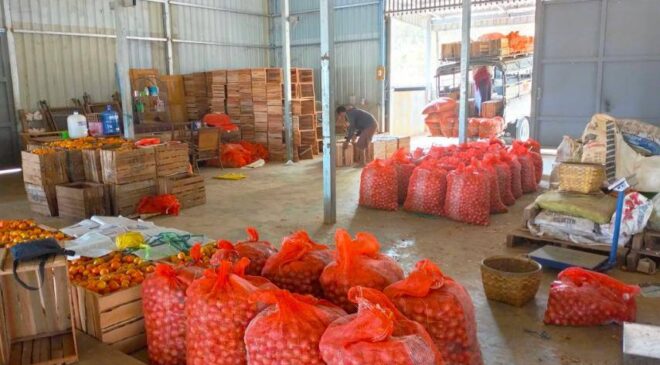 စက်သုံးဆီမရလို့ ကုန်ကားတွေ မြို့ကြီး​တွေဆီကို မထွက်နိုင်တဲ့အတွက် လယ်ယာထွက်ကုန်ပစ္စည်းတွေ နယ်မှာစျေးတွေကျနေ