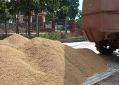 ဆန်စပါး ကဏ္ဍမှာ ဒစ်ဂျစ်တယ်ငွေပေးချေမှု ဆောင်ရွက်မယ့်အစီအစဥ် တောင်သူတွေအတွက် အဆင်မပြေ