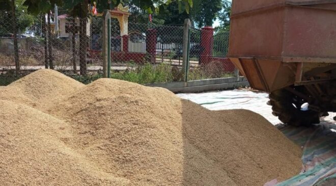 ဆန်စပါး ကဏ္ဍမှာ ဒစ်ဂျစ်တယ်ငွေပေးချေမှု ဆောင်ရွက်မယ့်အစီအစဥ် တောင်သူတွေအတွက် အဆင်မပြေ