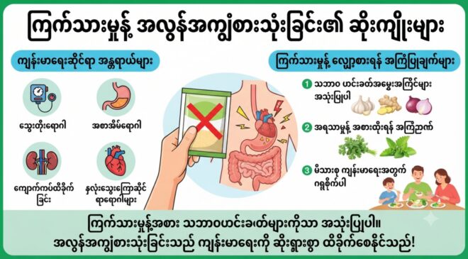 ကြက်သားမှုန့်၊ ဟင်းချိုမှုန့်များ စားသုံးခြင်းနှင့် ကျန်းမာရေး