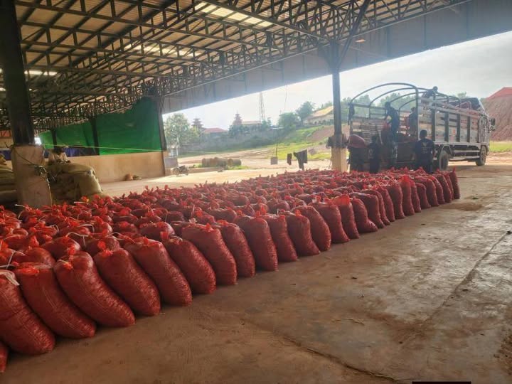 ဗုံးကွဲမှု​တွေ​ကြောင့် ထိုင်း-မြန်မာ အမှတ် ၂ ချစ်ကြည်ရေးတံတားကို အချိန်စောပိတ်လိုက်လို့ ငရုတ်သီးကားတွေ တင်ပို့နိုင်ခြင်းမရှိဘဲ မြဝတီမှာပိတ်မိပြီး ဆုံးရှုံးမှုတွေရှိ