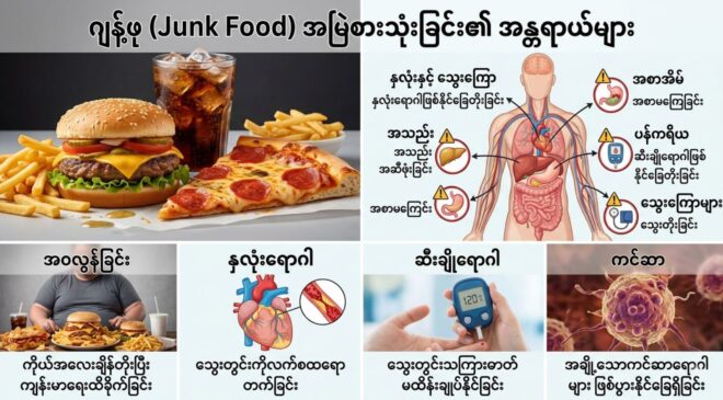 Junk Food က တကယ်ပဲ ကင်ဆာဖြစ်စေသလား