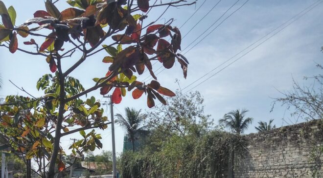 သူတို့အိမ် အခန်း (၂၀၇)