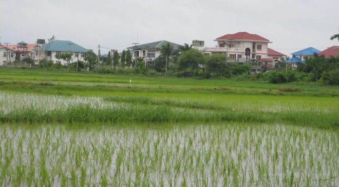 သူတို့အိမ် အခန်း (၂၄၃)