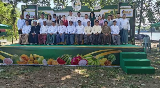 တရုတ်နိုင်ငံကို ထောပတ်သီးတင်ပို့မယ့်အစီအစဥ် နောက်ဆုံးအဆင့် ရောက်ရှိနေ